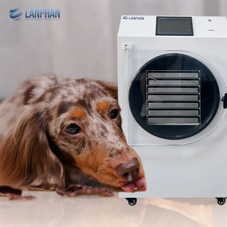 info-1-1 Diy Food Freeze Dryer best